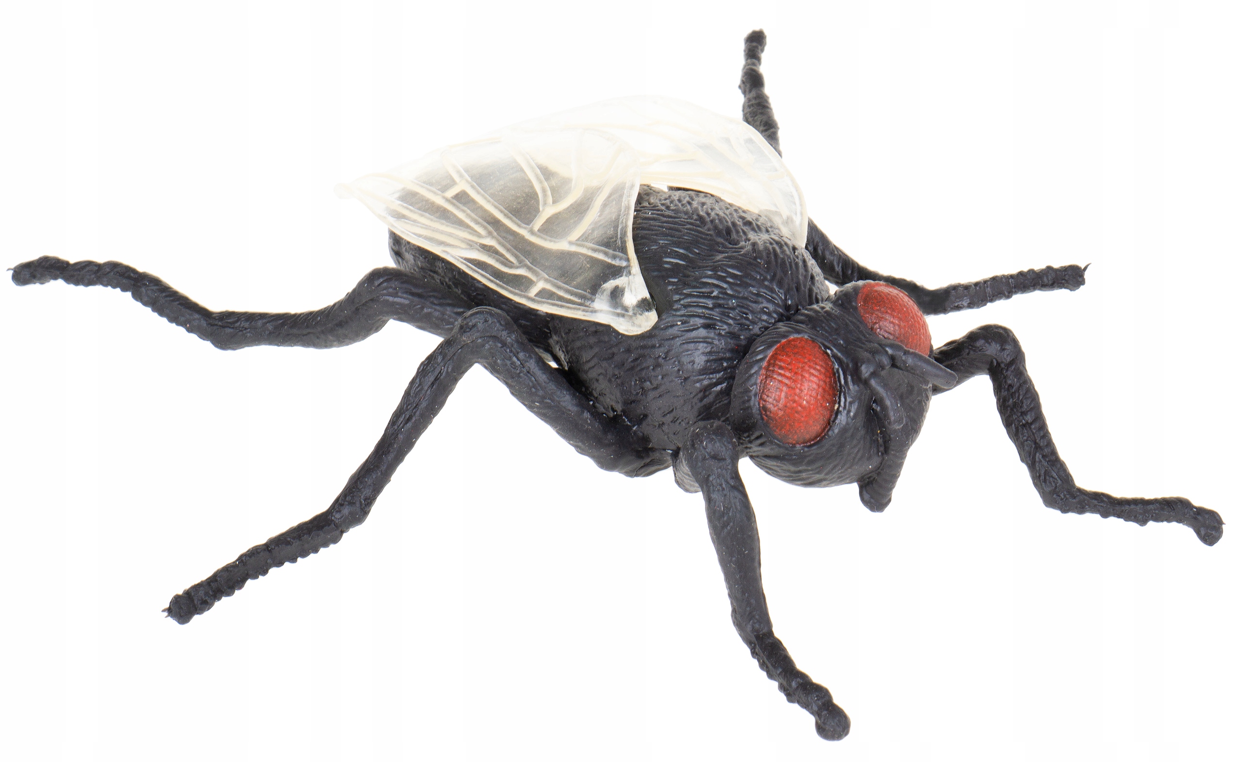 

Mucha Domowa Gumowa Z Groszkiem Insekt Owad HAB026