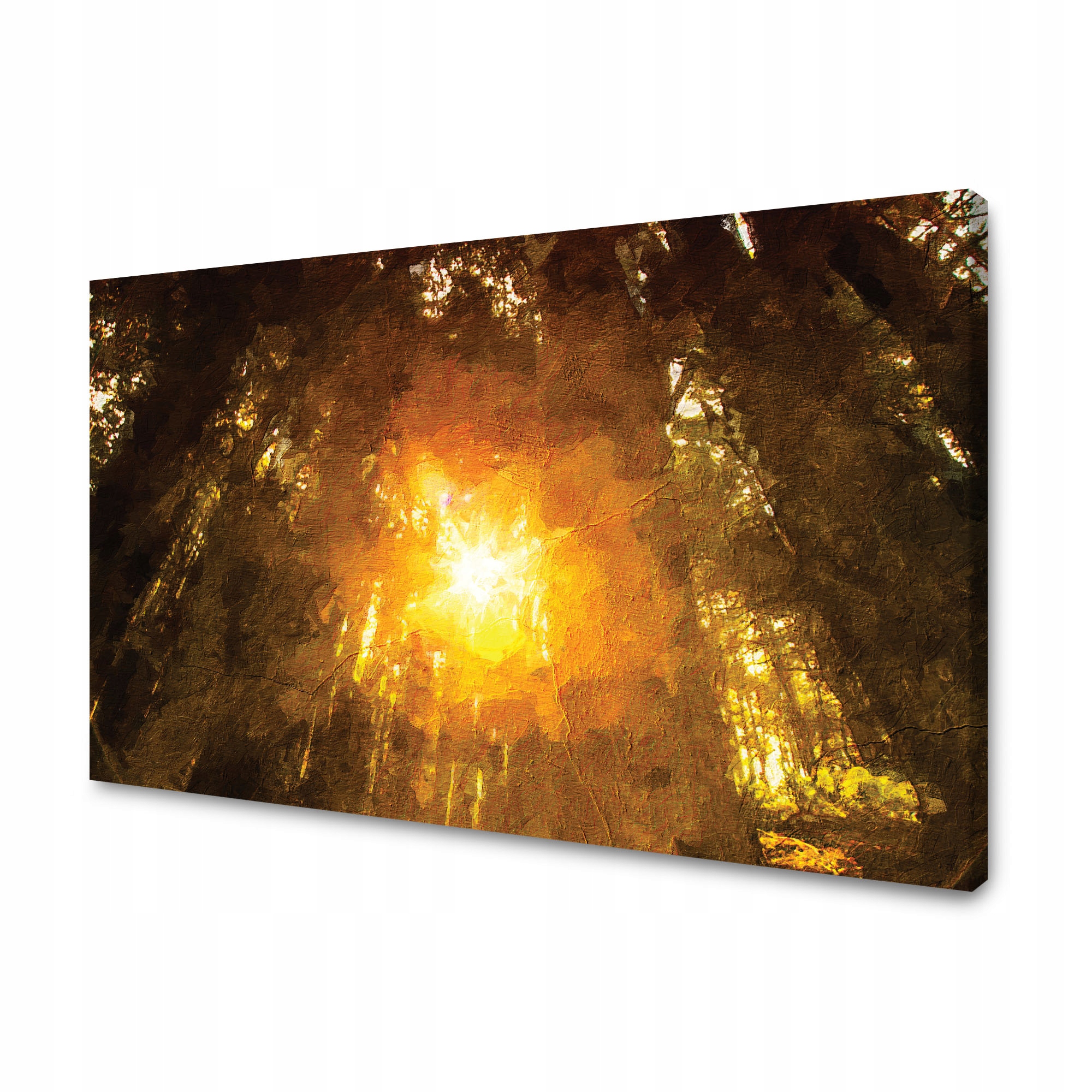 Obraz na plátně Les v záři Slunce Pastely 90x60 cm