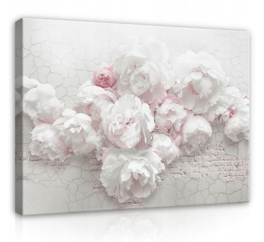 Obraz 100x75 Pivoňky jemné bílé růžové květy pastelové plátno