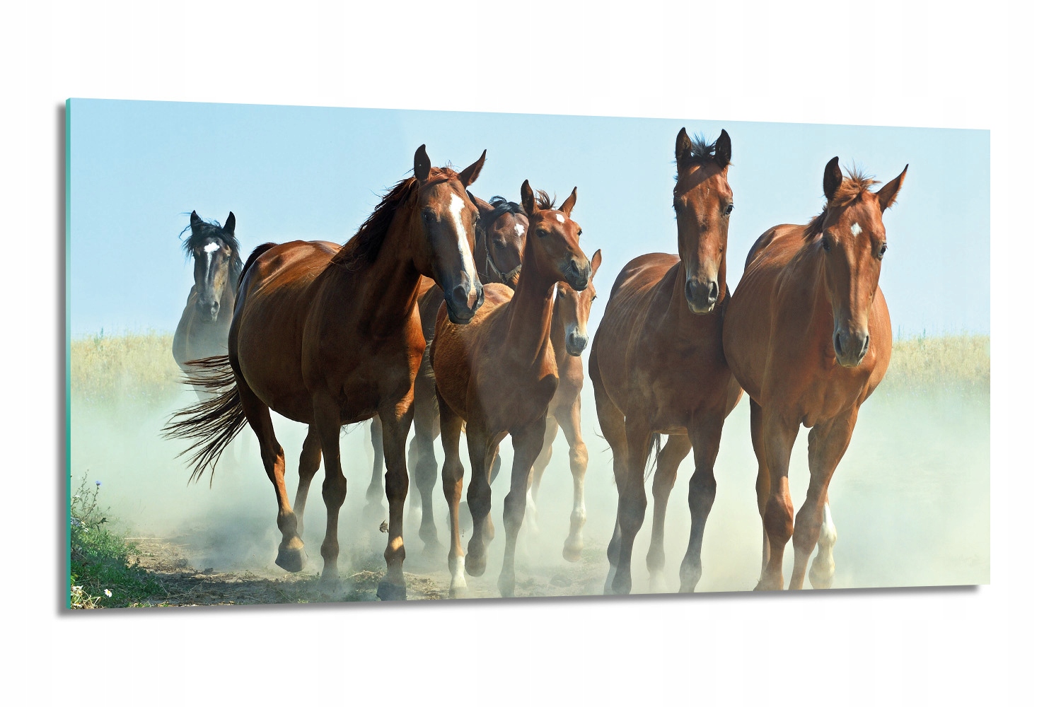 panel do kuchyně Běžící stádo koní 100x50 s fotografií