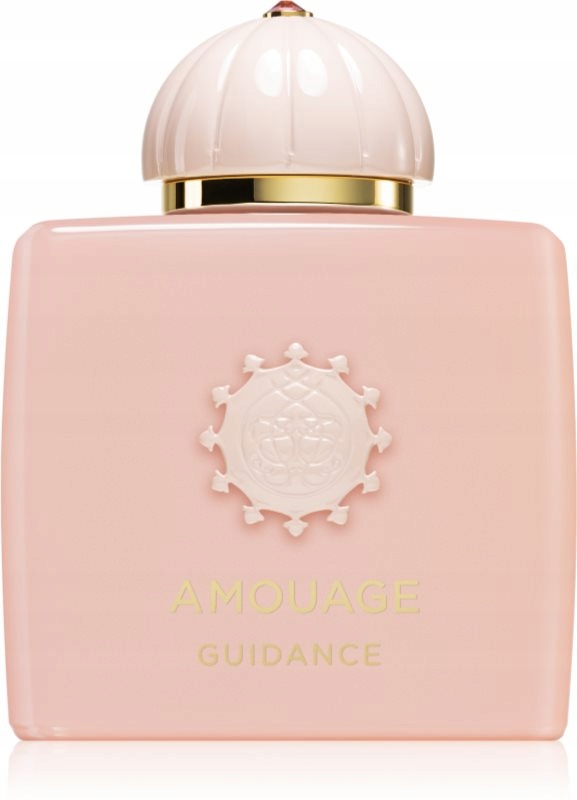Amouage Guidance Parfémovaná Voda 100 ML Unisex