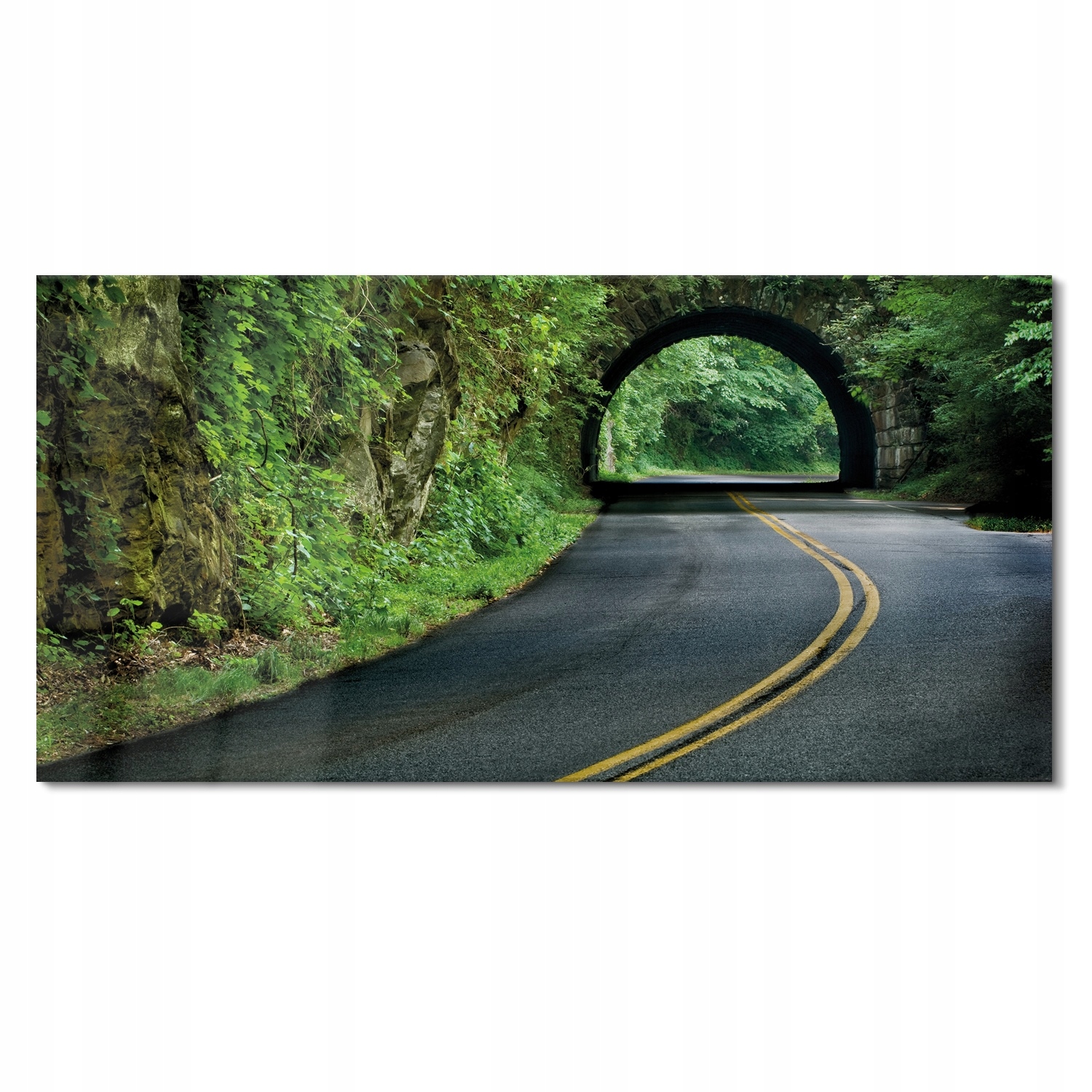 Obraz na skle Les tunel hory cesta 120x60