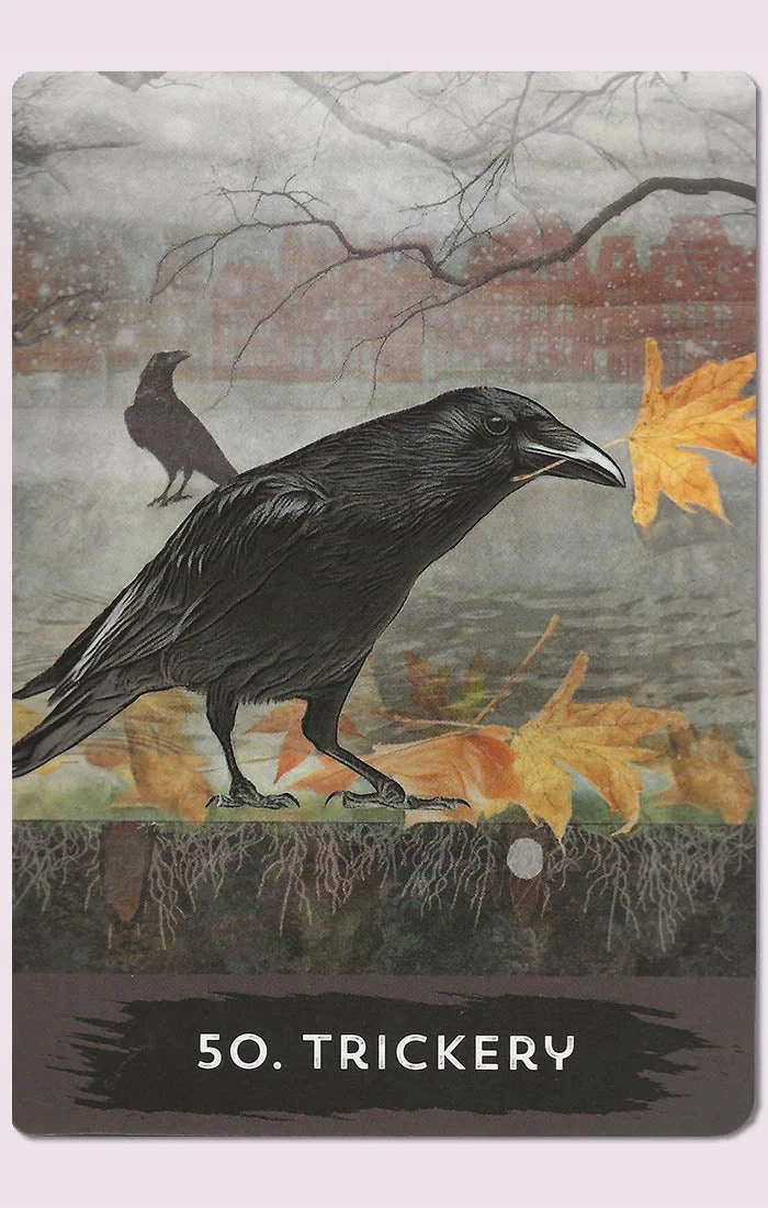 Urban Crow Oracle Nazwa Urban Crow Oracle