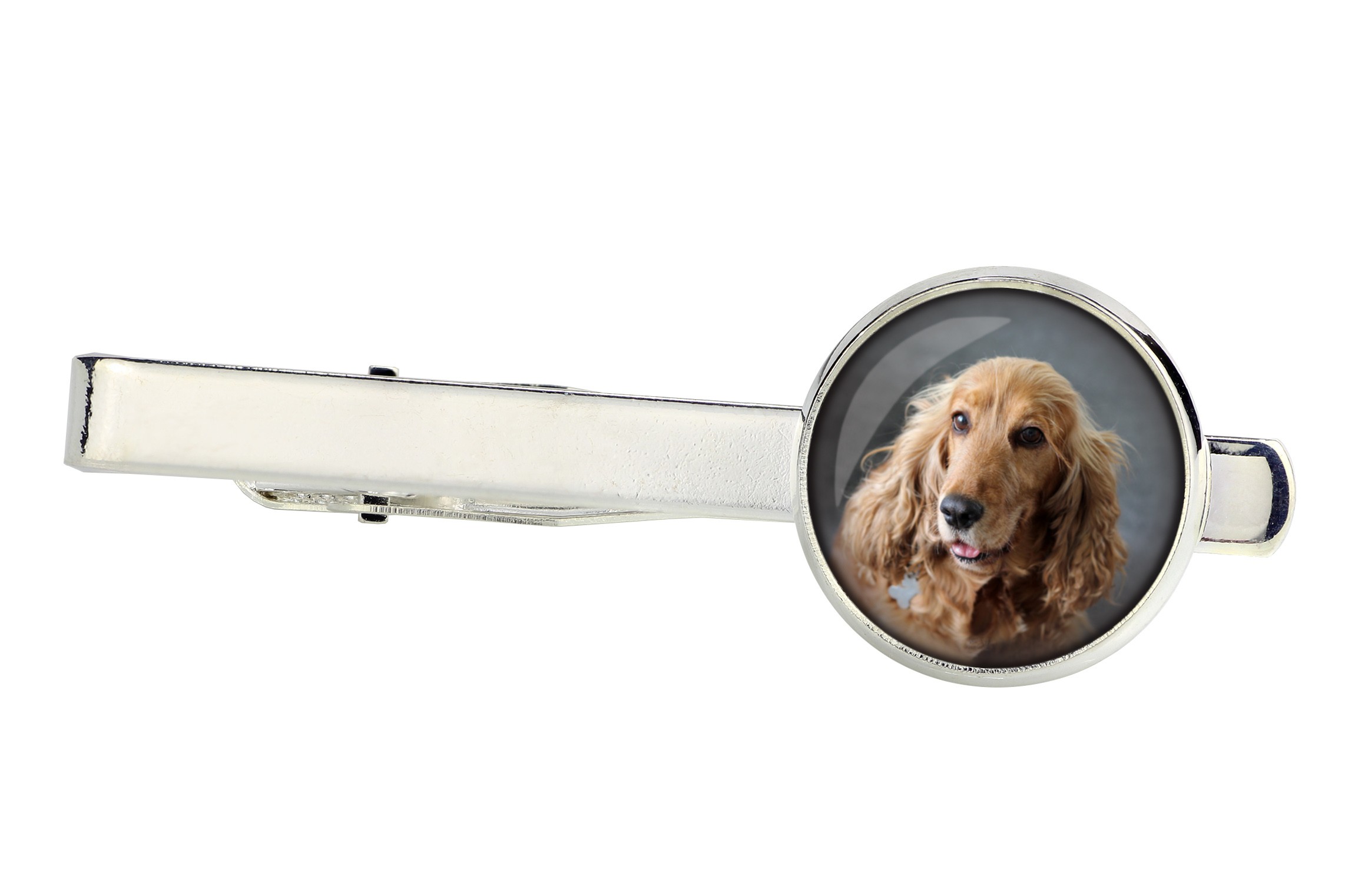 

Cocker spaniel ang Spinka do krawata Twoje zdjęcie