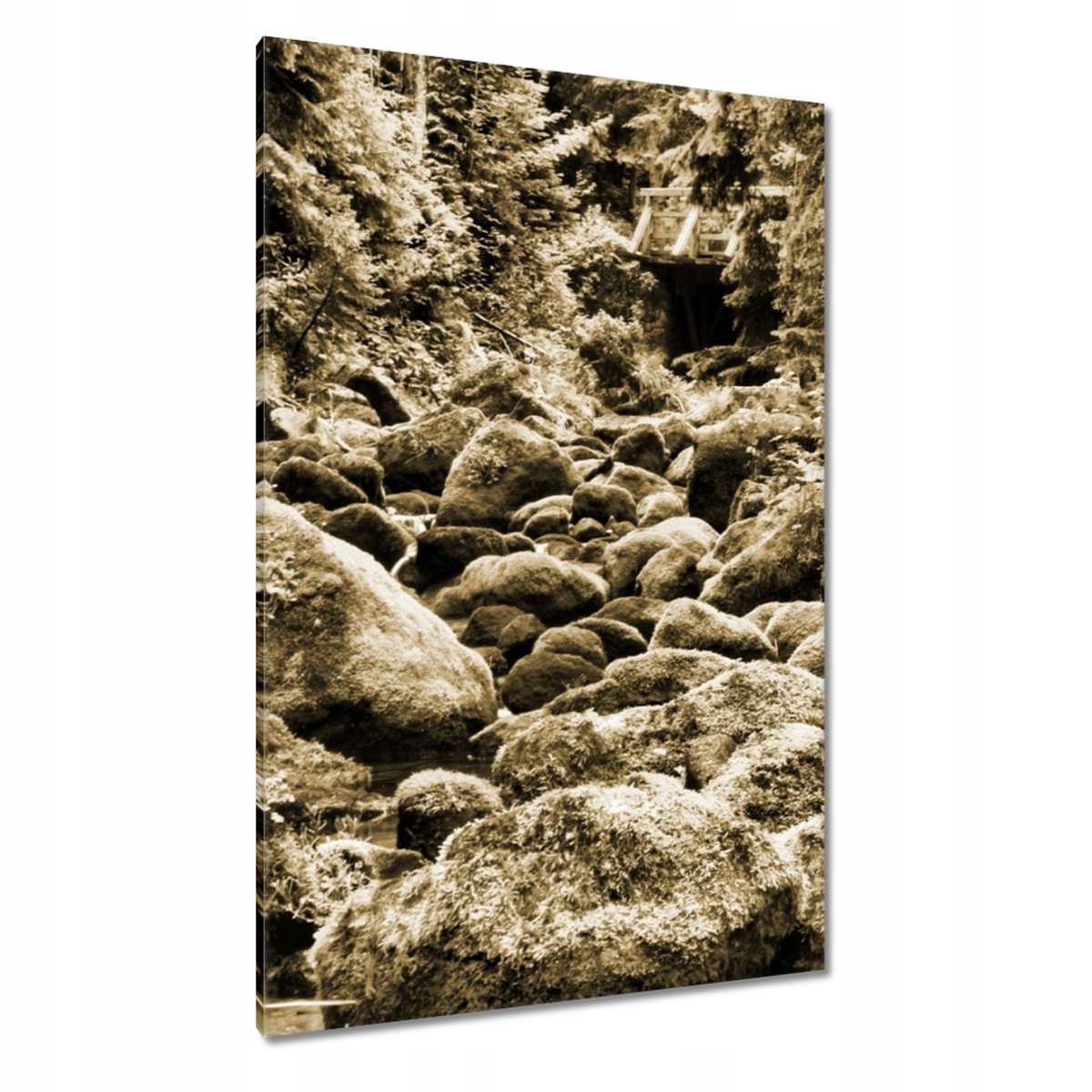 Obrazy 80x120 Tatry Polské hory Pohled