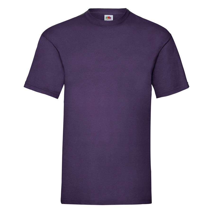 

Koszulka męska Tshirt Valueweight Fruit fiolet XL