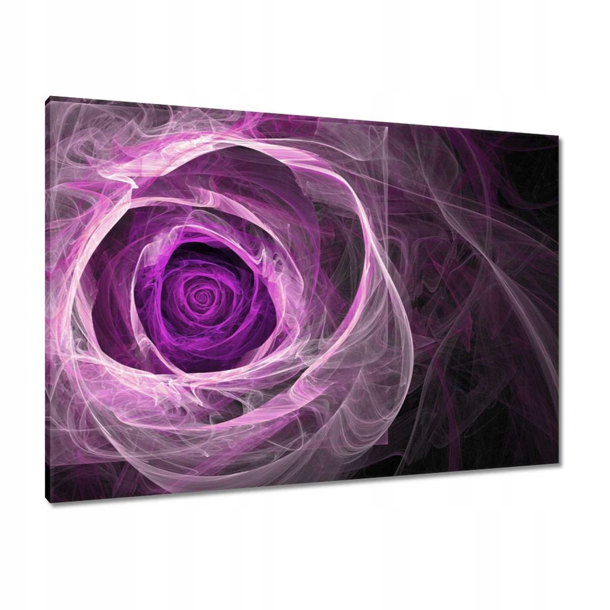Obrazy 100x70 Fraktální růže