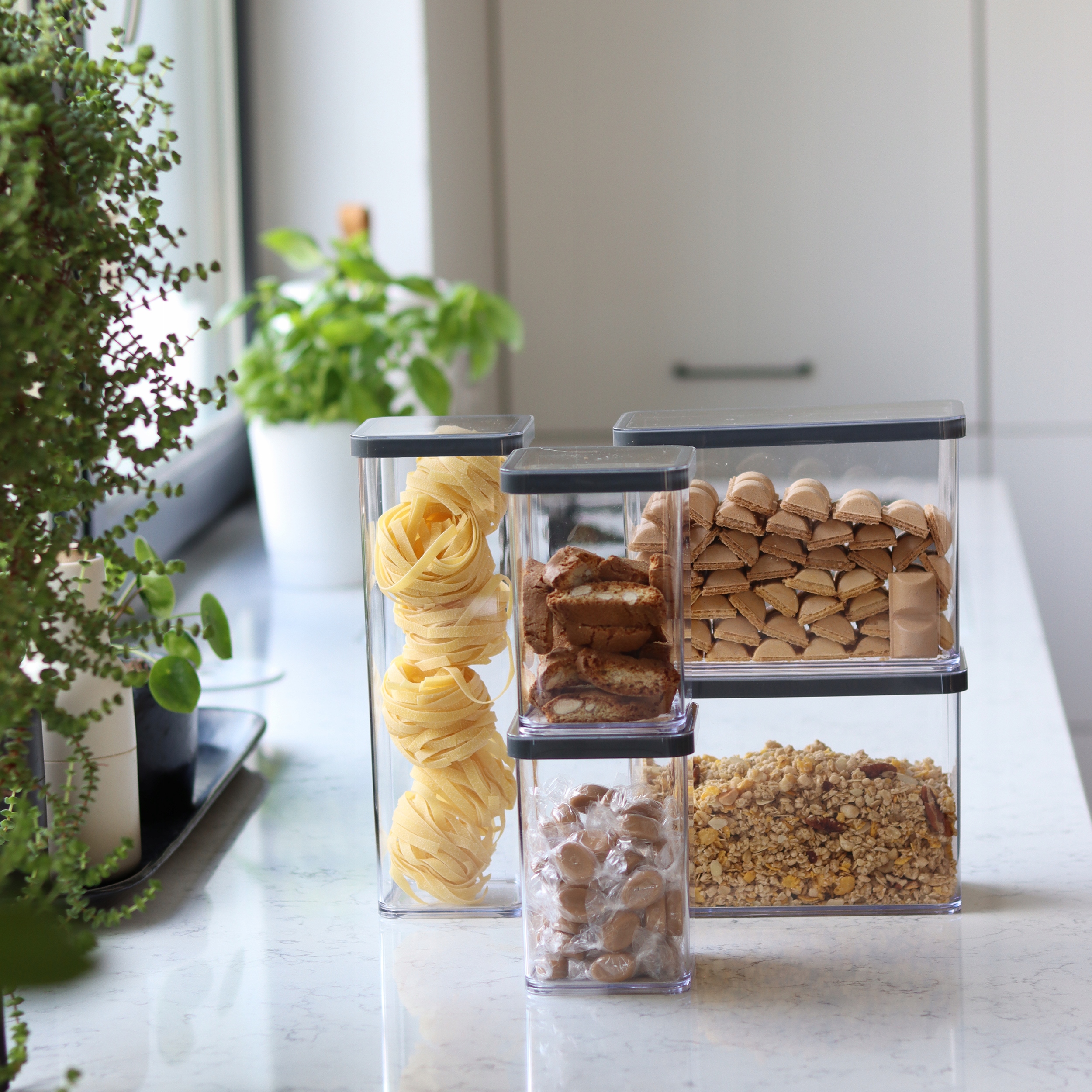 ROTHO POJEMNIK NA ŻYWNOŚĆ ARTYKUŁY SYPKIE ORGANIZER 2,1L GRAFIT LOFT Rodzaj do produktów sypkich