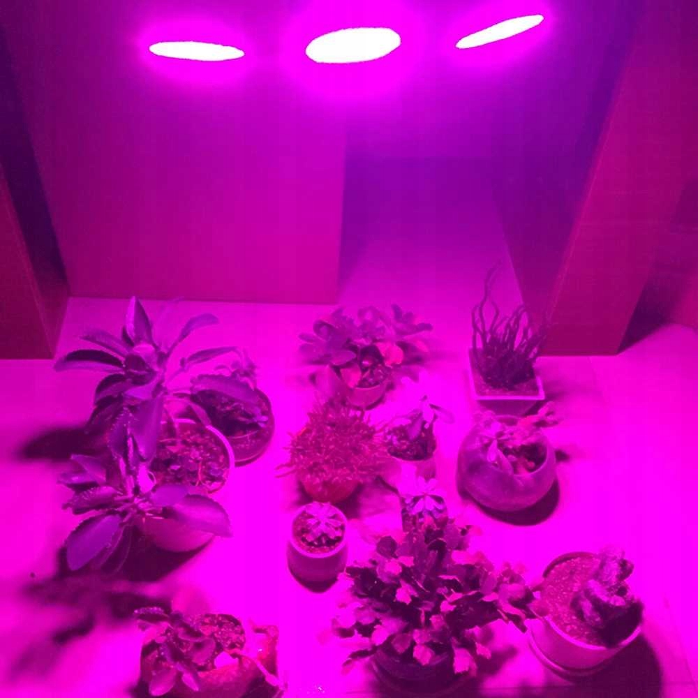 OPRAWKA LAMPA UCHWYT 3x GNIAZDO GWINT E27 DO UPRAWY ROŚLIN + UCHWYT Rodzaj oświetlenia żarówka