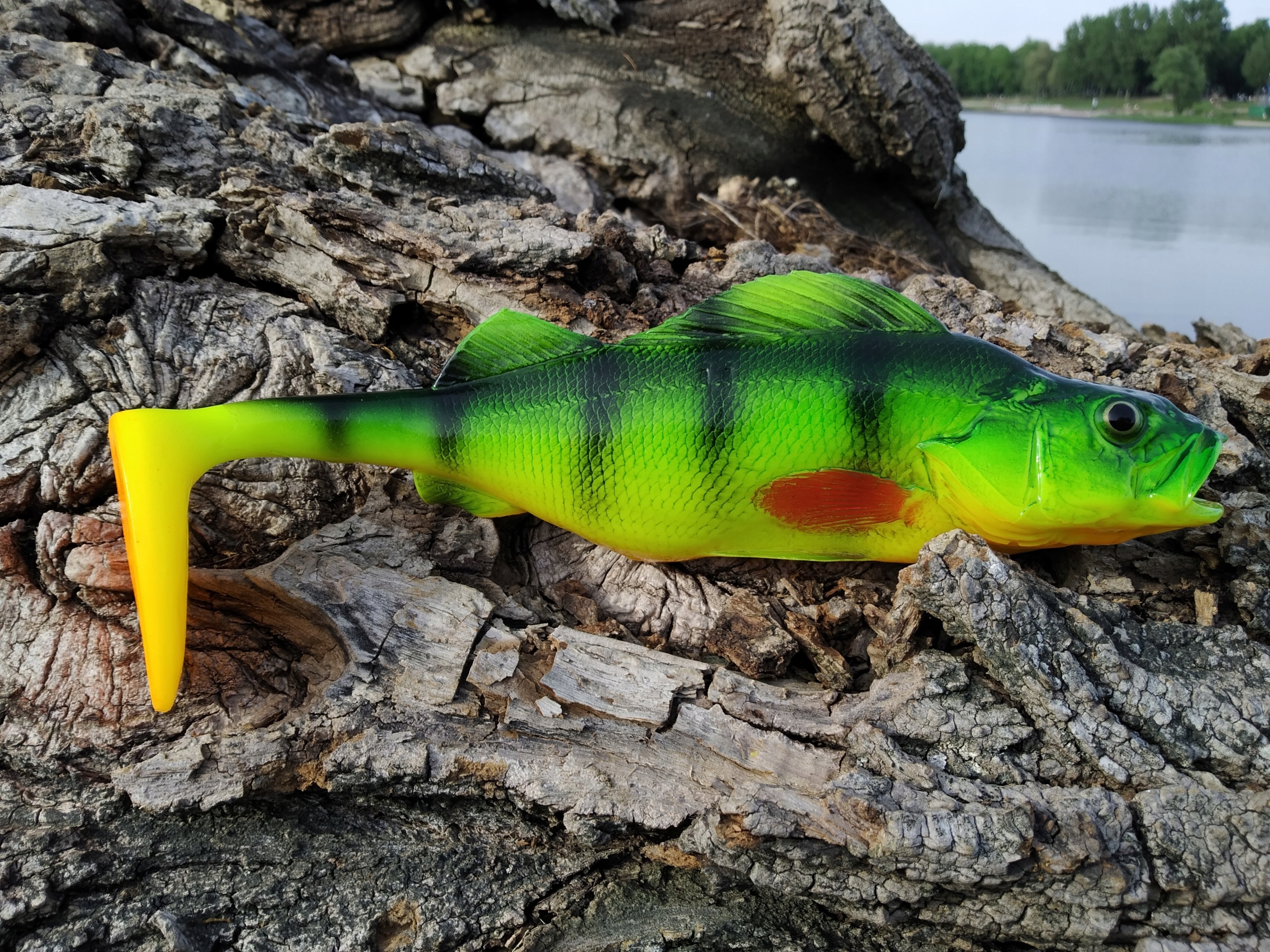 SEWRO CUSTOM OKOŃ seledyn II 25cm