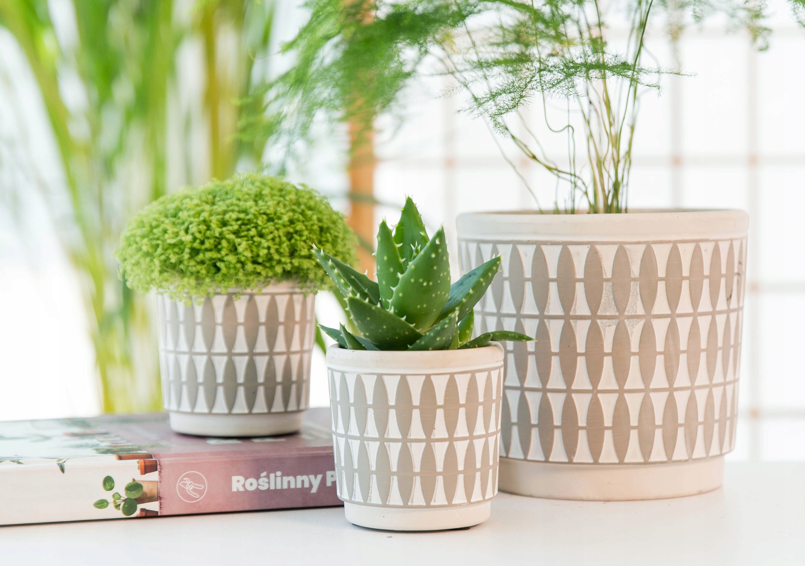 Osłonka ALMOND Ø12cm ceramiczna doniczka Maks. szerokość 12 cm