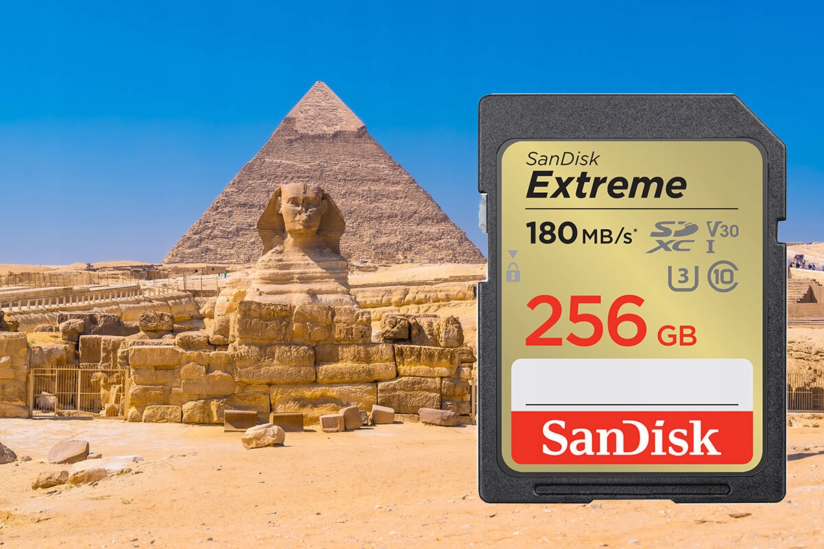 Karta pamięci SANDISK Extreme SDXC 256GB Format karty SD