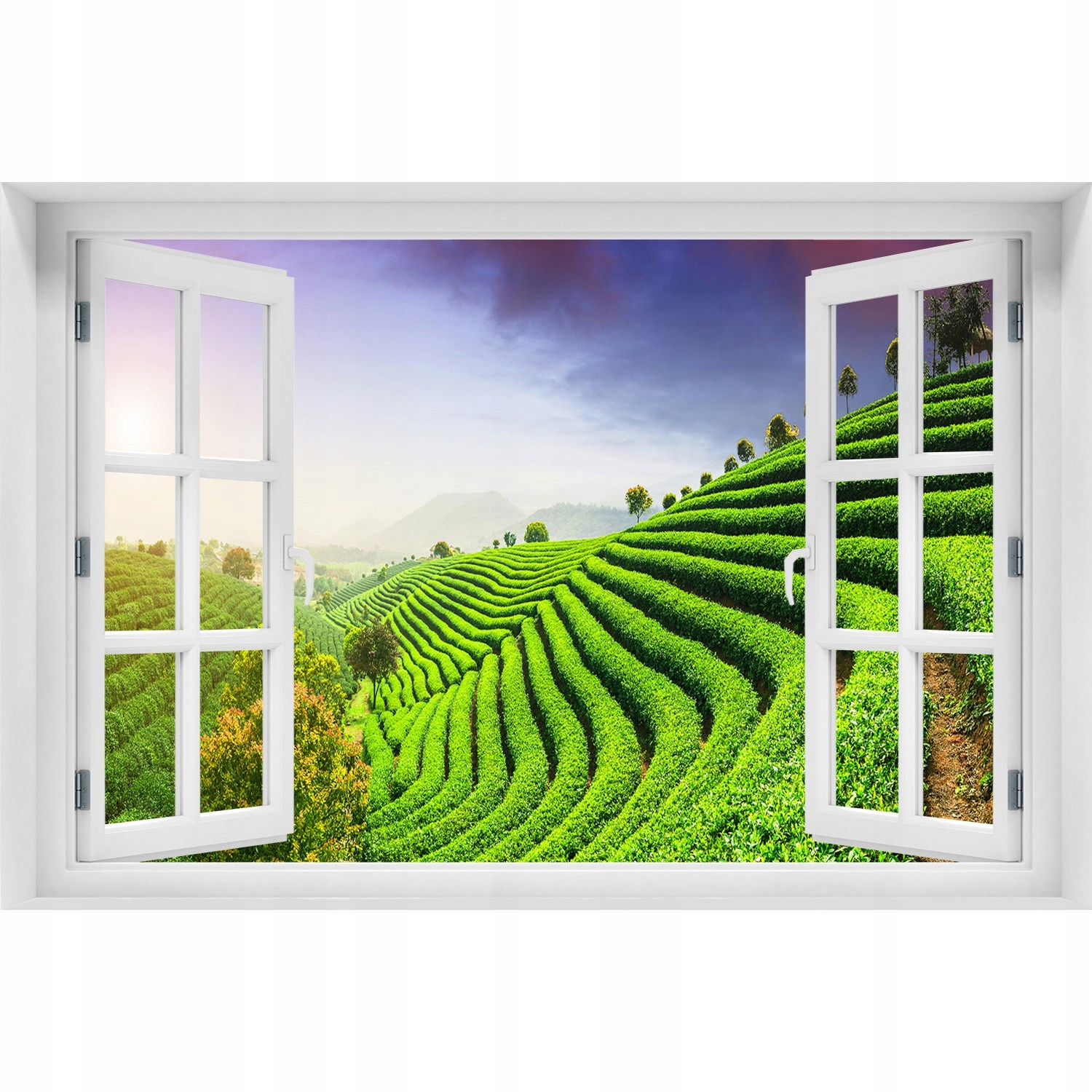 

Naklejka ścienna 3D Okno Plantacja herbaty 150x100