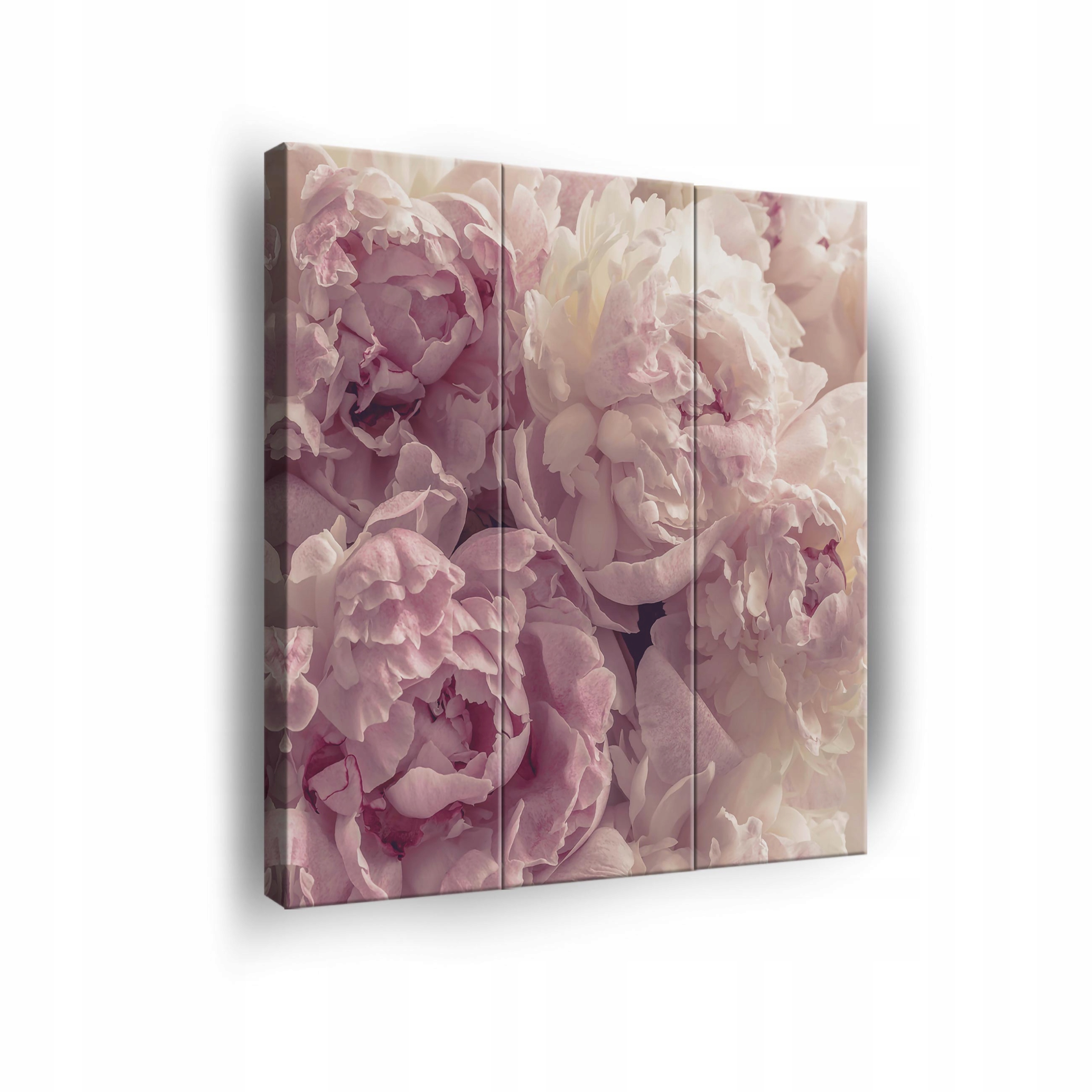 Obraz Květiny Pivoňky Na Plátně Stěna 3 Díly Triptych Obývací Pokoj 90x100