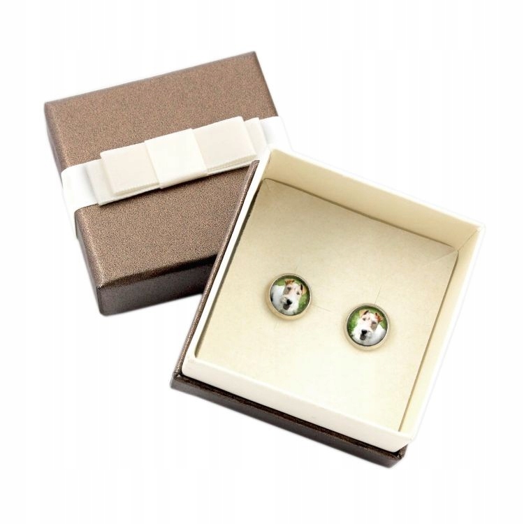 

Foksterier Kolczyki w pudełku, Twoje zdjęcie foto