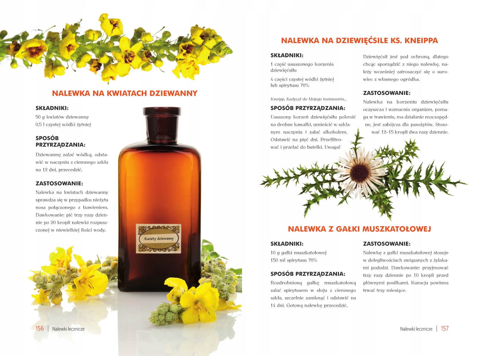 ATLAS NALEWEK POLSKICH RECEPTURY SKKŁADNIKI PORADY DOMOWE SPOSOBY PORADNIK Okładka twarda