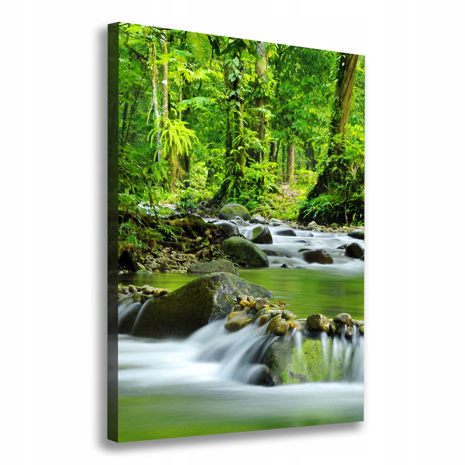

Foto obraz canvas do salonu Potok górski 70x100
