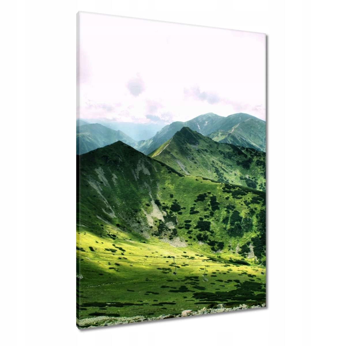 Obrazy 70x100 Tatry Polské hory Pohled