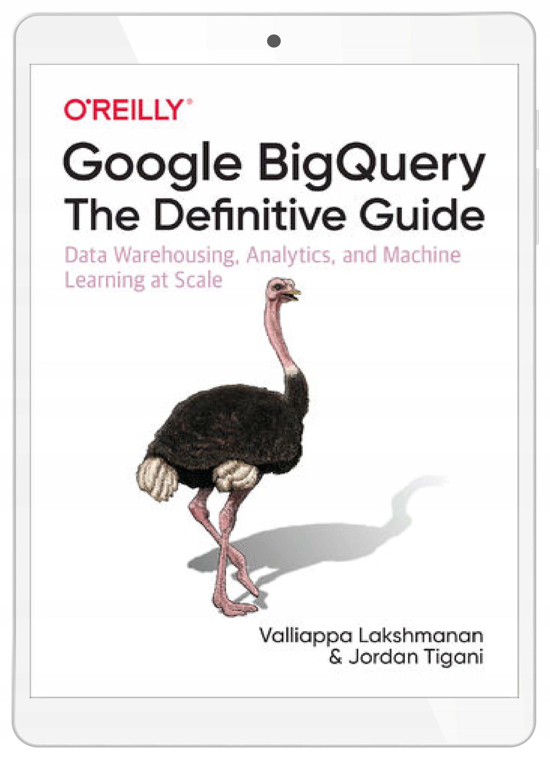 Google BigQuery: The Definitive Guide. Data