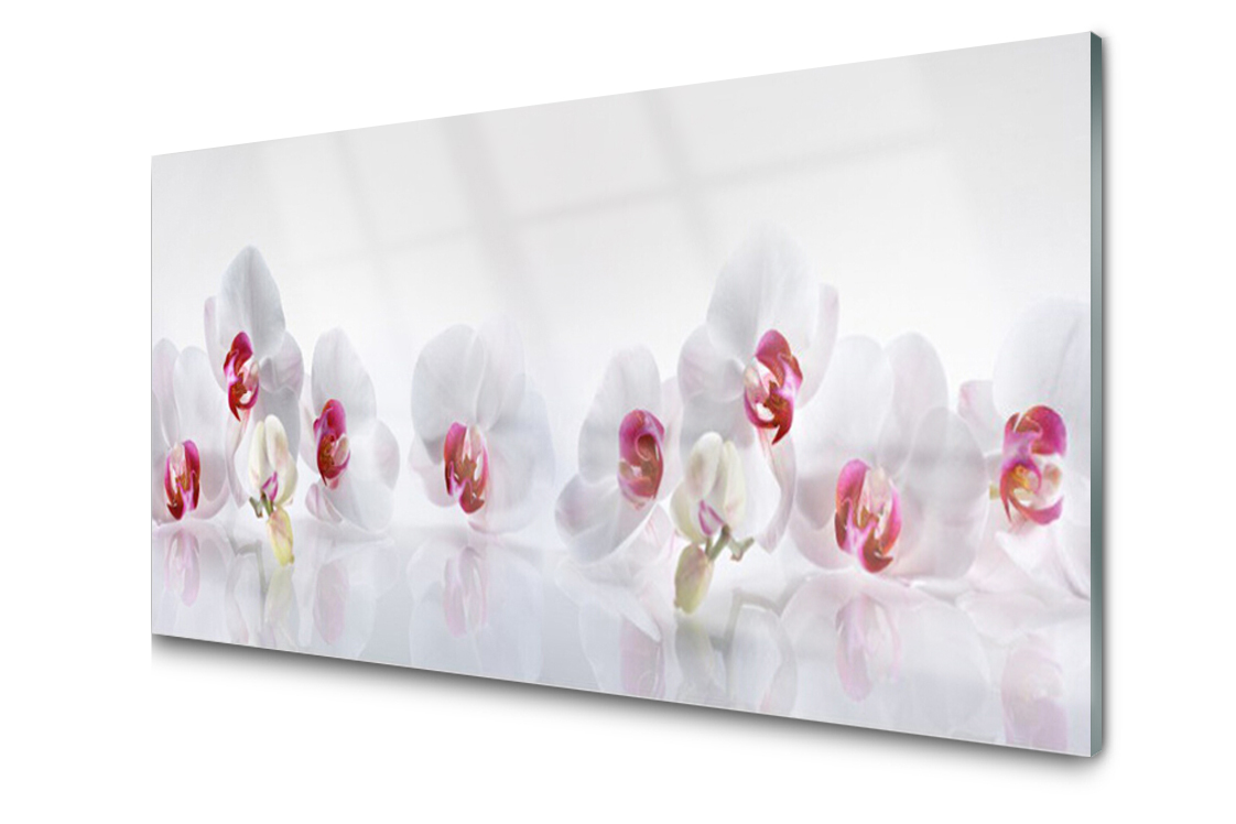 

Panel szklany dekor Kwiaty Roślina 120x60 + Klej