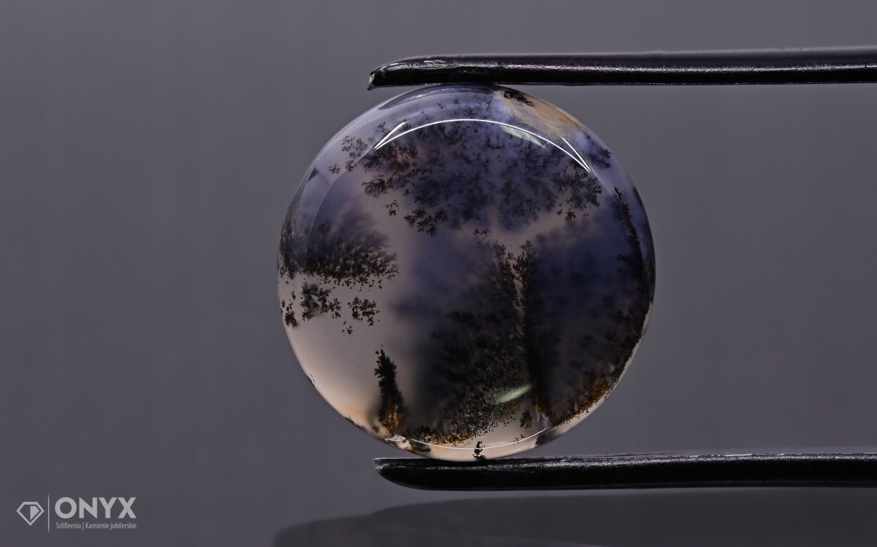 Dendritový achát z Kazachstánu konvexní mělký kruh