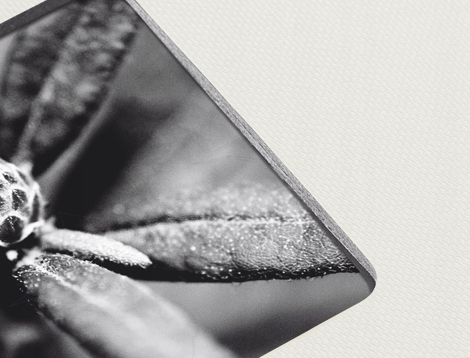 Hama ALBUM NA ZDJĘCIA WKLEJANE 100 zdjęć 10x15 cm Rodzaj albumu album tradycyjny (zdjęcia wklejane)