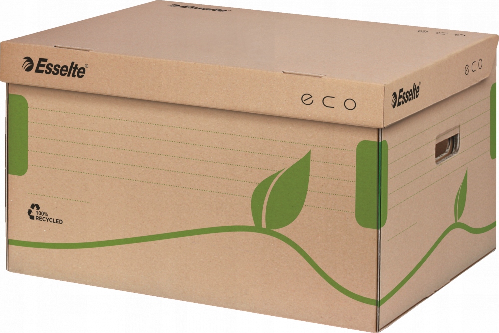 

Pudło archiwizacyjne zbiorcze Esselte Eco 439mm