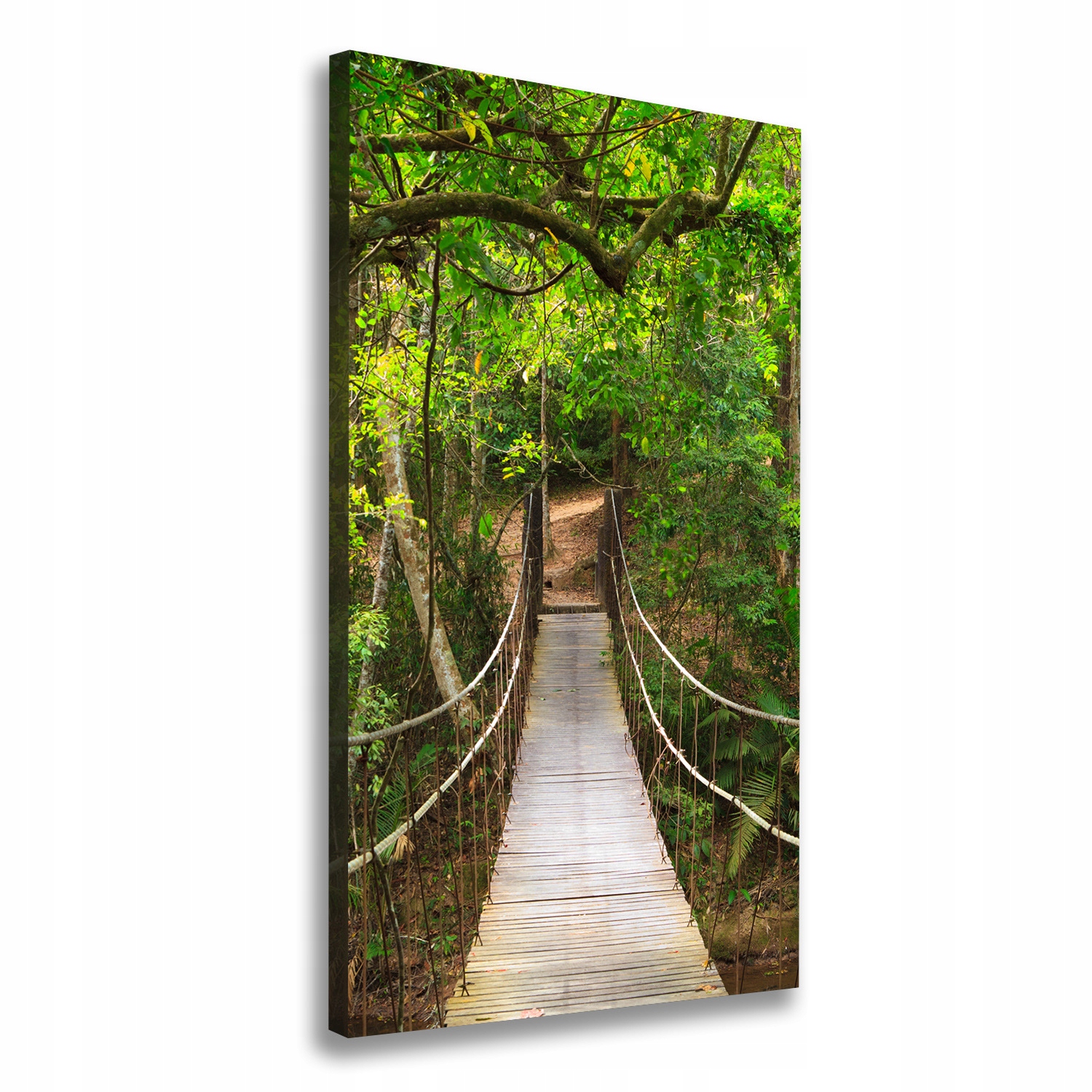 

Foto obraz canvas Most wiszący w lesie 60x120 cm