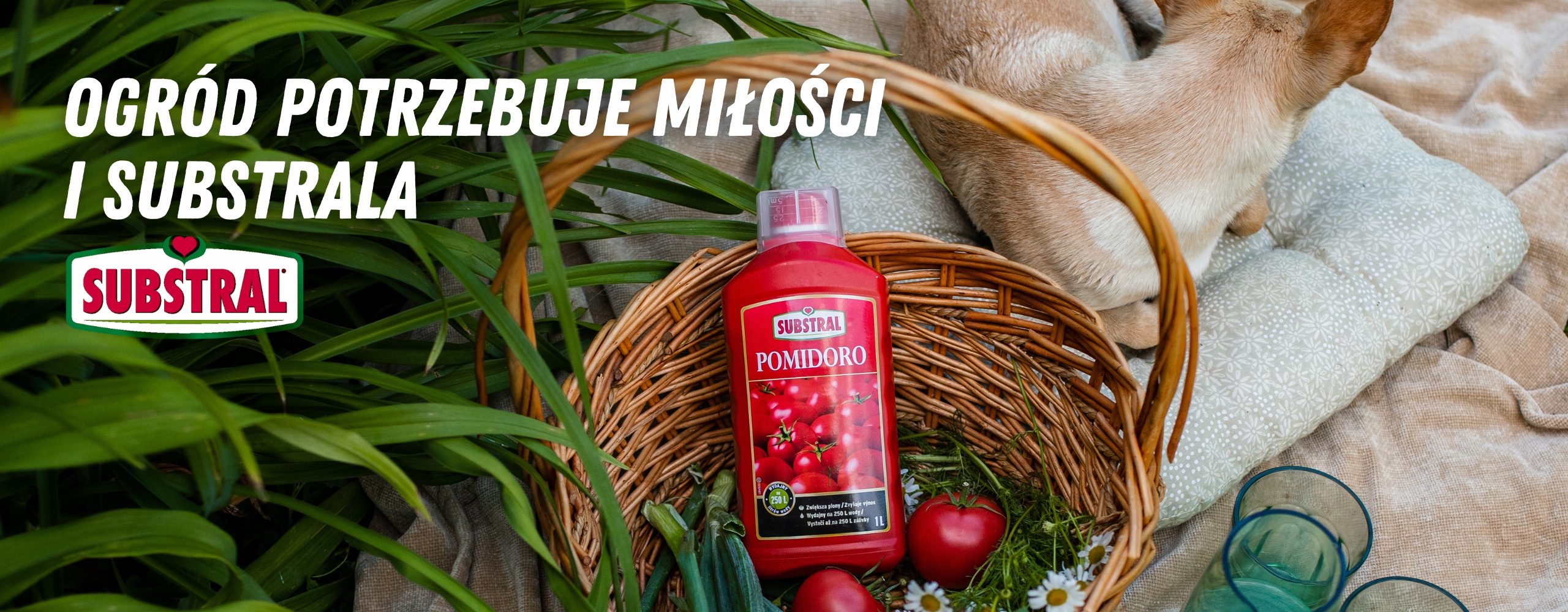 SUBSTRAL Gotowe Podłoże do Orchidei 3l Waga produktu z opakowaniem jednostkowym 2 kg