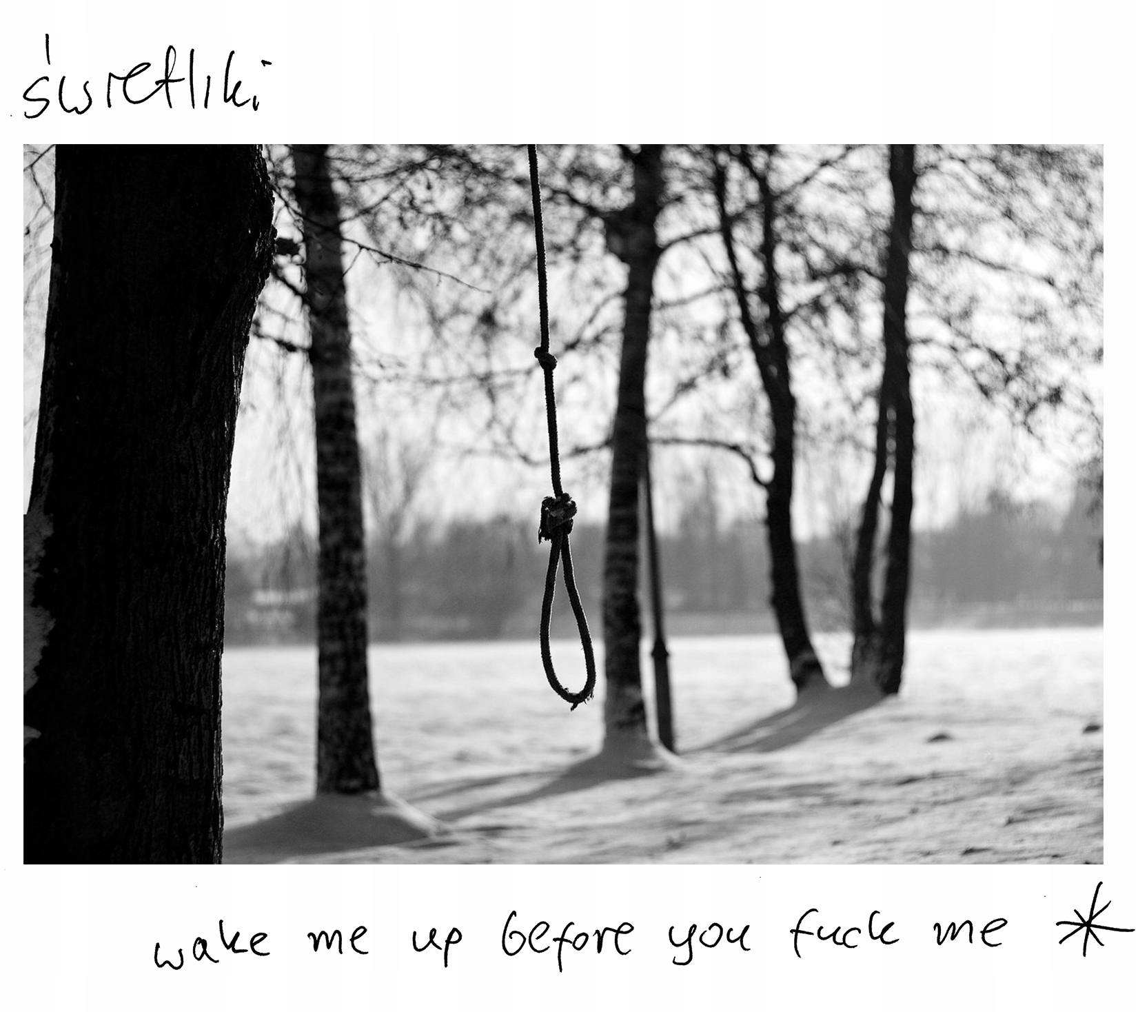 

CD Świetliki Wake Me Up Before You Fuck Me