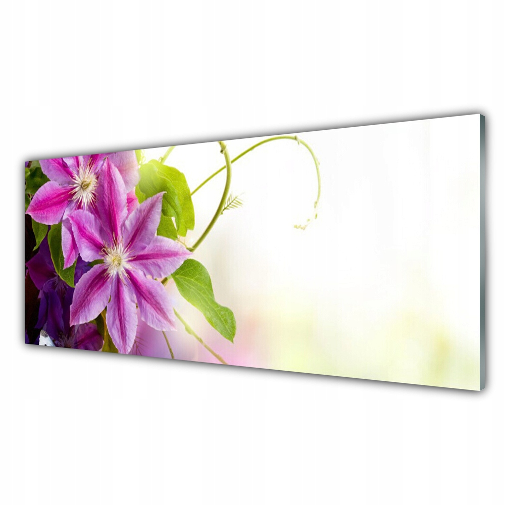 

Fotoobraz nowoczesny 125x50 Kwiaty Natura Przyroda