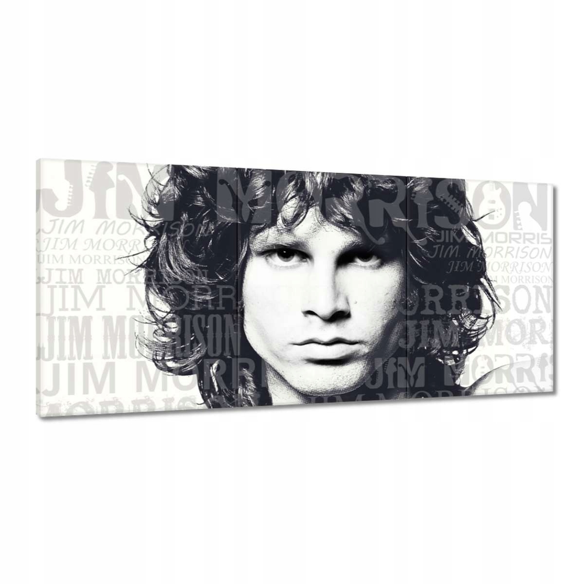 Obrazy 210x100 Jim Morrison