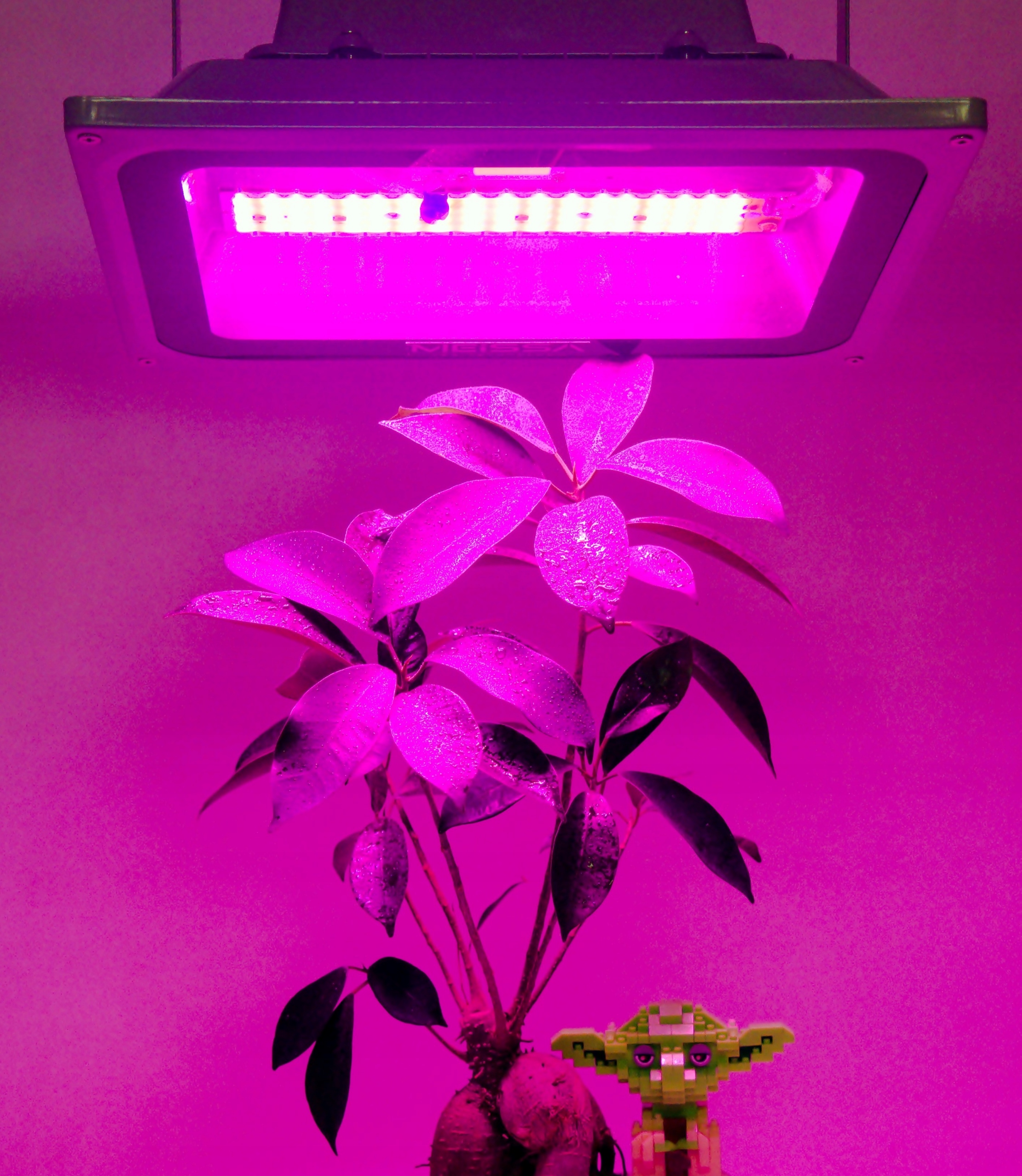 GROW COB MEiSSA LED panel rast rastlín 432D 500W typ osvetlenia GROW