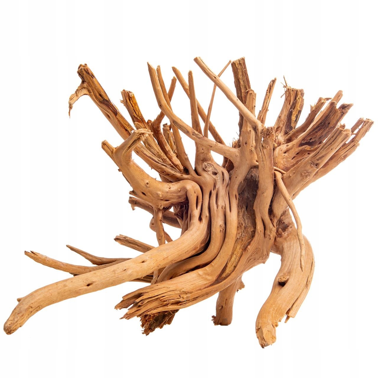 Levně Kořen Cradle Wood Pro Akvárium Přírodní Ozdoba Aquascaping 40-50 CM