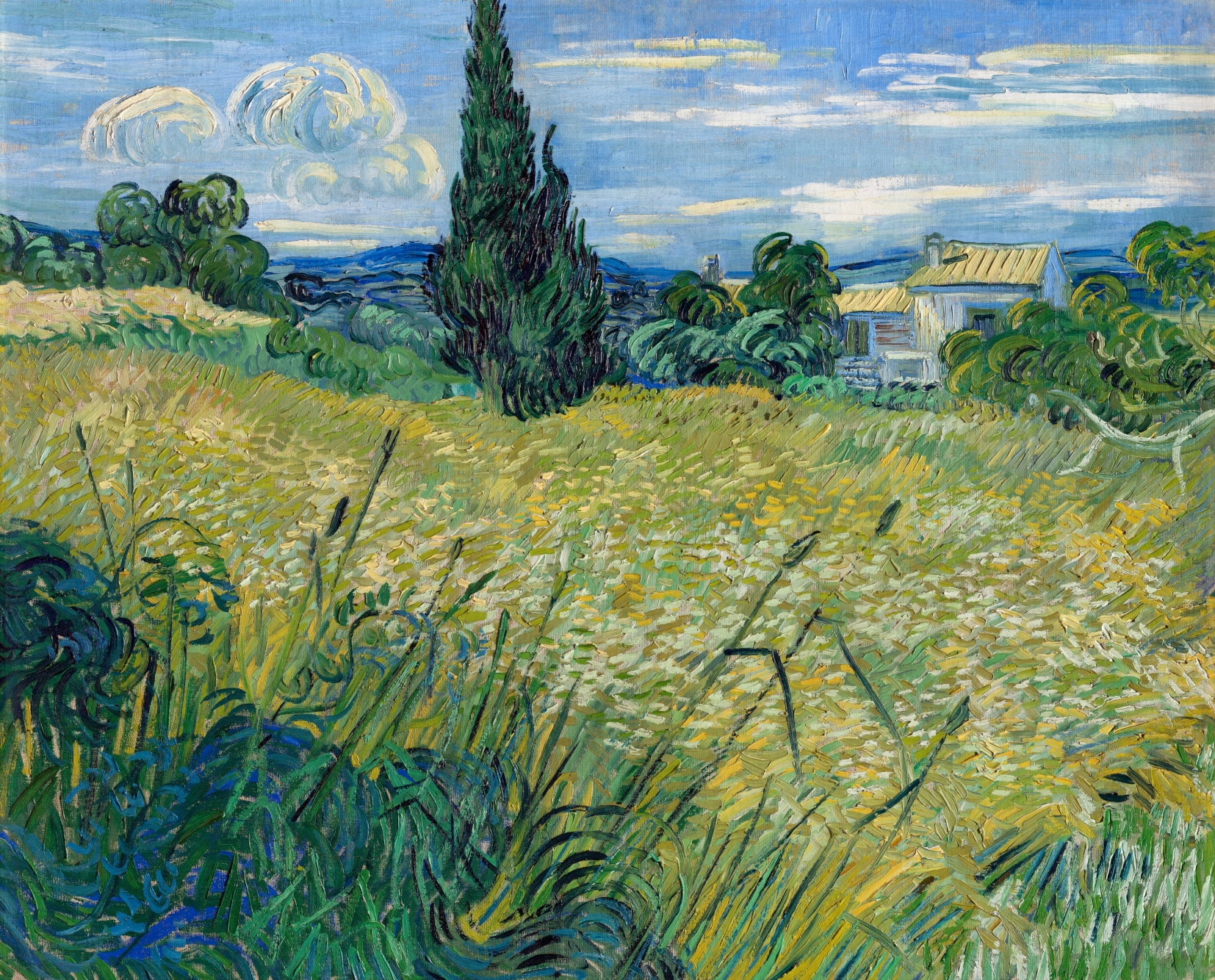 Vincent Van Gogh Pole pszenicy z cyprysami Płótno