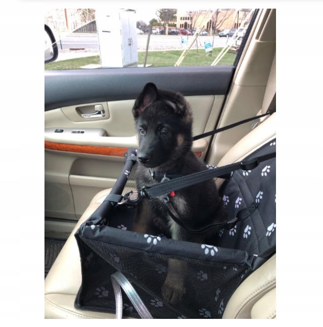 Levně Sedačka Pro Psa Kočku Do Auta Přepravka