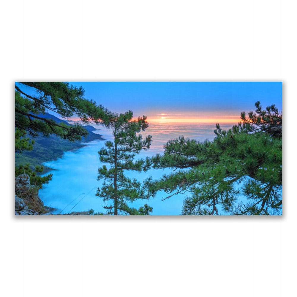 

Fotoobraz akryl z nadrukiem 140x70 Drzewa Natura