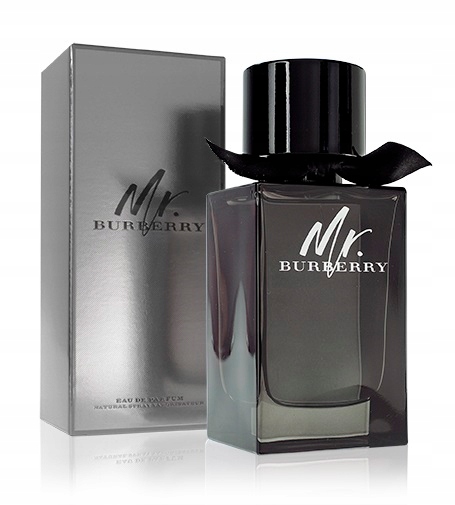 Burberry Mr. Burberry parfémovaná voda pro muže 100 ml