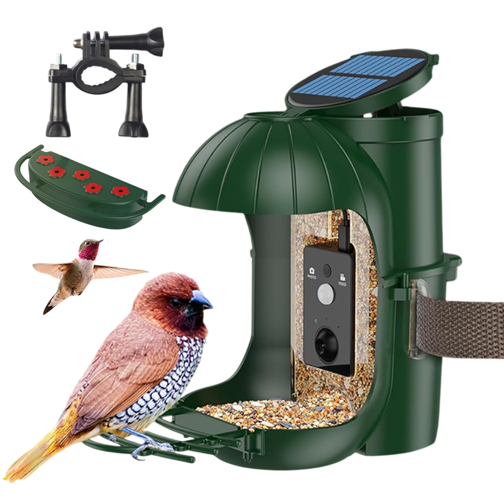 Karmnik dla Ptaków Kamera Hd Nocne Widzenie Pir Solar Zielony