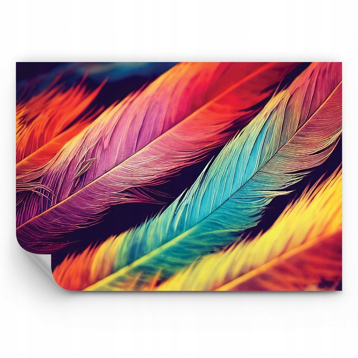 Fototapeta Pióra Tapeta Na Ścianę Do Sypialni Salonu 350x256 Ps
