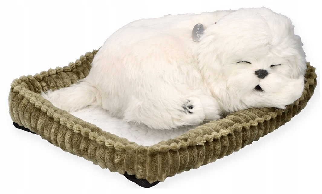 Perfect Petzzz Oddychający szczeniaczek Maltańczyk