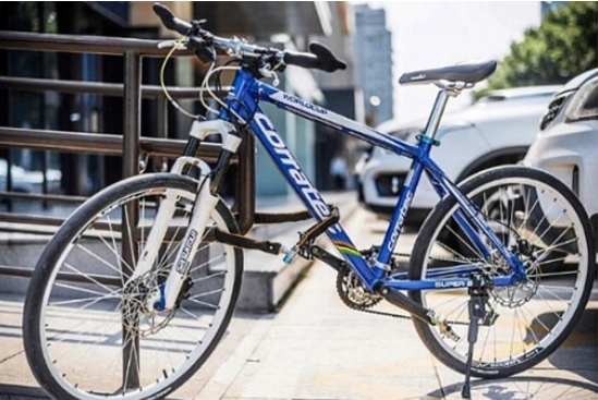 BLOKADA ROWEROWA NA ROWER MOTOR ZAPIĘCIE ŁAŃCUCH Marka Inna marka