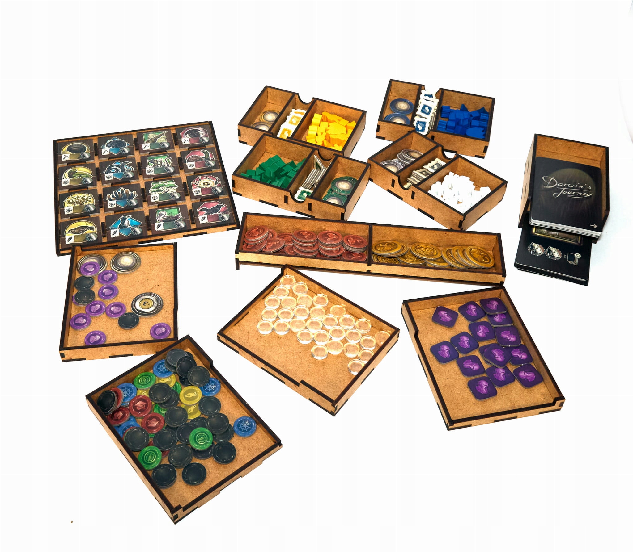Wyprawa Darwina insert do gry planszowej