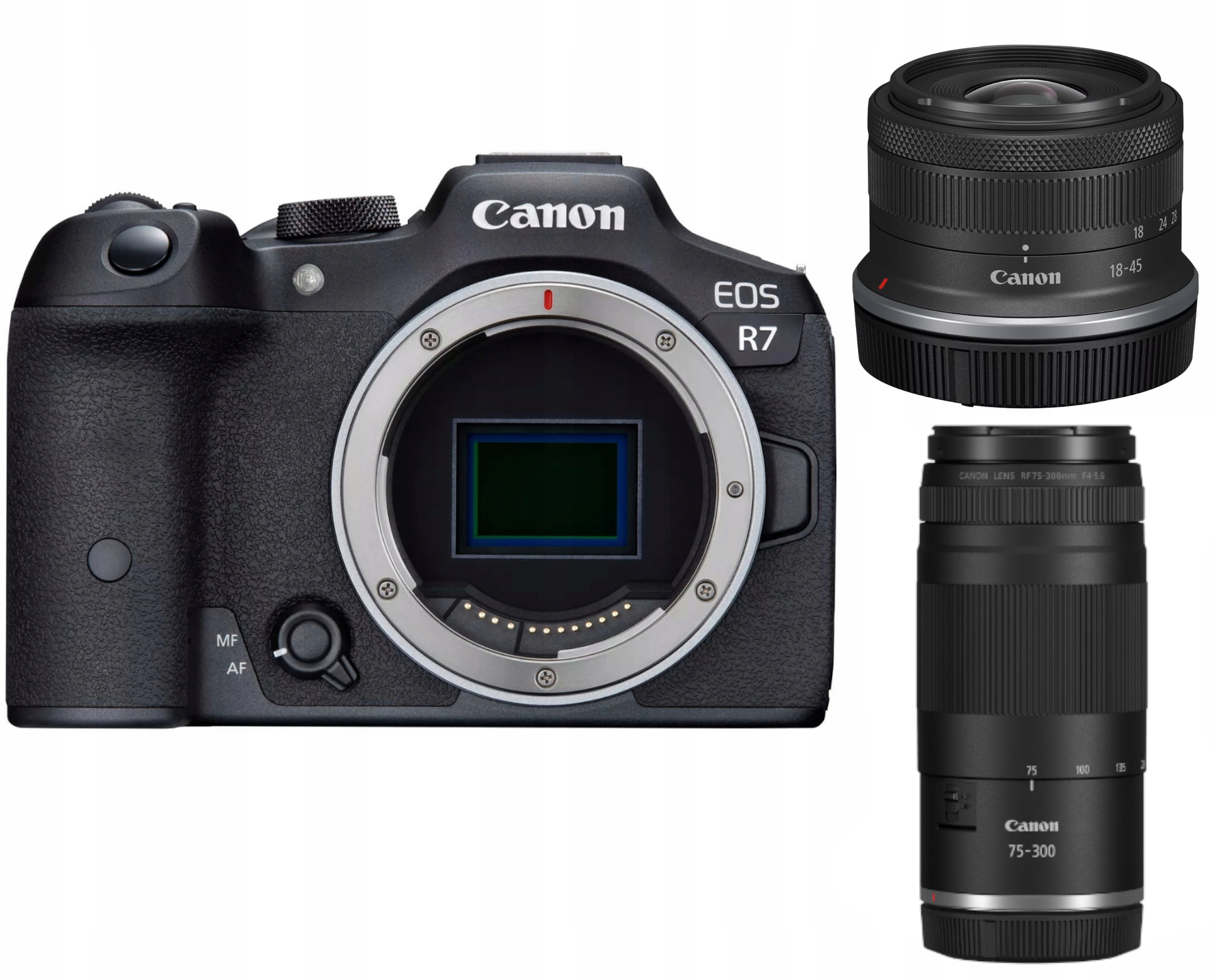 Aparat Canon Eos R7 Rf-s 18-45mm F4.5-6.3 Is Stm Rf 75-300mm F4-5.6