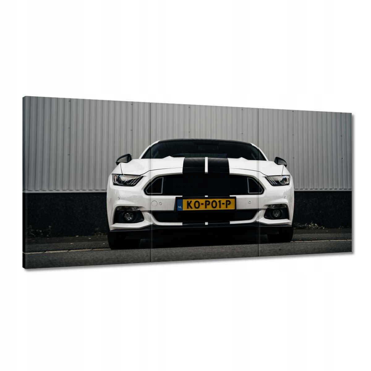 Obrazy 180x90 Ford Mustang s pruhmi