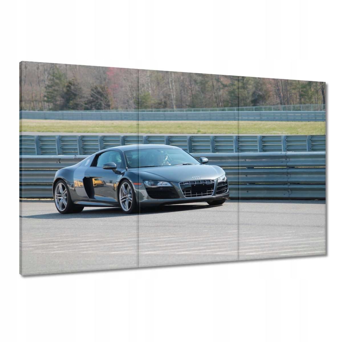 Obrazy 120x80 Audi v akci Fura Auto