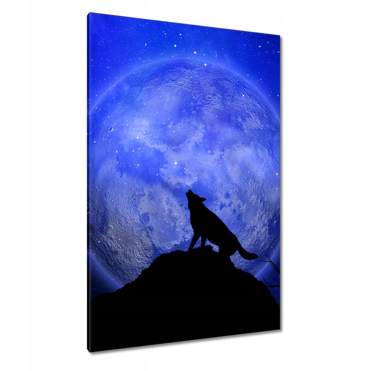 Obrazy 80x120 Vlk vyje do měsíce Noc