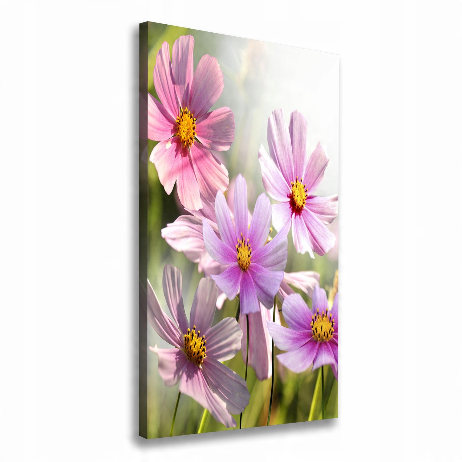 

Foto obraz canvas do salonu Polne kwiaty 60x120