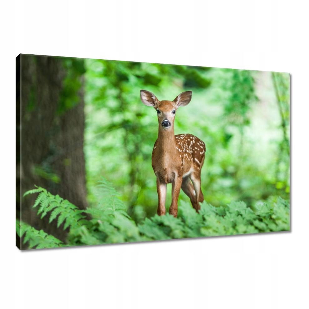 

Obrazy 120x80 Sarenka w lesie Las