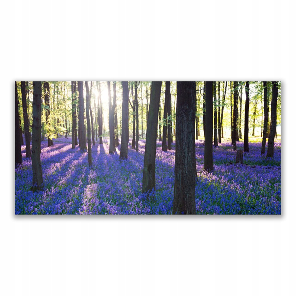 

Obraz akrylowy na ścianę 120x60 Las Drzewa Natura